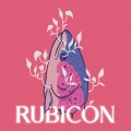 Zorzal - rubicón