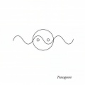 Transgenre