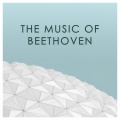 endellion string quartet、andrew watkinson、Ralph de Souza、Garfield Jackson、david waterman - Beethoven: Allegretto for String Quartet in B, WoO 210