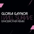 I Will Survive (Spacedbrother Remix)