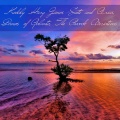 Kodaly Hary Janos Suite and Arias, Dances of Galanta, The Peacock Variations