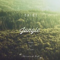 Jungle