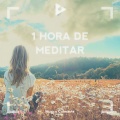 Música Calmante - Ondas de concentracion