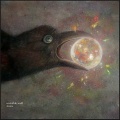Anoice、Takahiro Kido、Yuki Murata、Calu - the fear