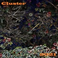 Colors from Cluster