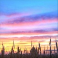 西野 - Mr.Mellow