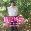 张广生 - 情定终生
