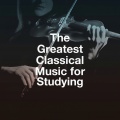 Luca Fiordaliso - B Flat Major