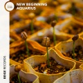Aquarius - New Beginning