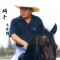 王家樑 - 鸽子