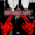 Brotherly Love (Pt. 2) [Explicit]