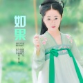 张文华 - 如果