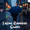 Lofi Hip-Hop Beats、Water Sounds For Spa、Jazz for a Rainy Day - Affirmation