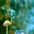 White Noise Meditation - Selective Memories