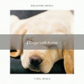Relaxmydog - Vivid Happy Dogs and Tense Masters