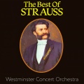 Westminster Concert Orchestra - Pizzicato Polka