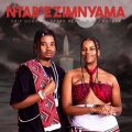 Drip Gogo、Starr Healer、DJ Khyber - Ntabezimnyama