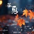 精彩千城 - 孤勇