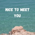 Nice to Meet You (Explicit)