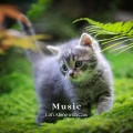 Music For Cats、Lofi Rain、RelaxMyCat - Keep On