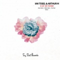 In Love With Yesterdays (Hiss Band Remix)