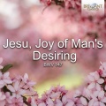 Jesu, Joy of Man's Desiring, BWV 147