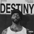 Destiny (Explicit)