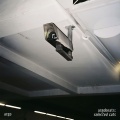Argo - Lament