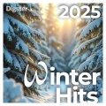 Winter Hits 2025 (Explicit)