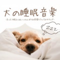 ペット療法 - ホワイトノイズ