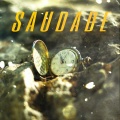 Lima - Saudade