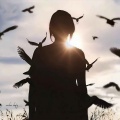 纹