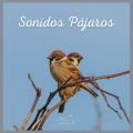 Sonidos De Aves - Sonidos Pájaros