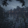 Dogs' Rainy Relax: Chill Soothing Sounds