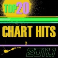 Top 20 Chart Hits 2011, Vol. 1