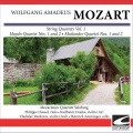 Mozarteum Quartett Salzburg - Mozart - String Quartet in D minor KV 421 (Haydn Quartet No. 2) - Allegro