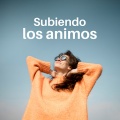 Babasónicos - Microdancing