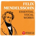 südwestdeutsches kammerorchester pforzheim、Rolf Schweizer、Steffi Sieber - III. Aria 