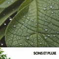 Sons et Pluie : Mélodies du Ciel sur Terre