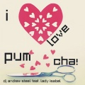 DJ Andrew Steel - I Love Pum Cha!
