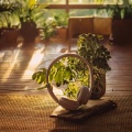 Calm Interlude: Melodies for Relaxation