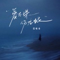 郑畅业 - 爱太深 伤太狠