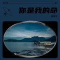 陈保才 - 你是我的命