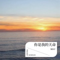 陈保才 - 你是我的天命