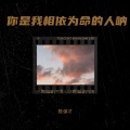 陈保才 - 你就是我相依为命的人呐