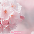 花花兔 - ありがとう…