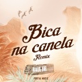 Bica Na Canela (Remix)