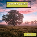 Fortuna Bonam, Vol. 3