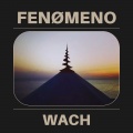 Fenomeno