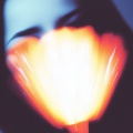 Gibran Alcocer - Idea 33
